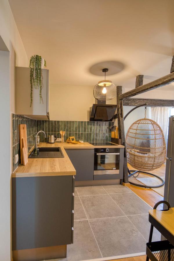 Appartement Le Verdoyant Hyper Centre Avec Sauna Et Parking Κολμάρ Εξωτερικό φωτογραφία