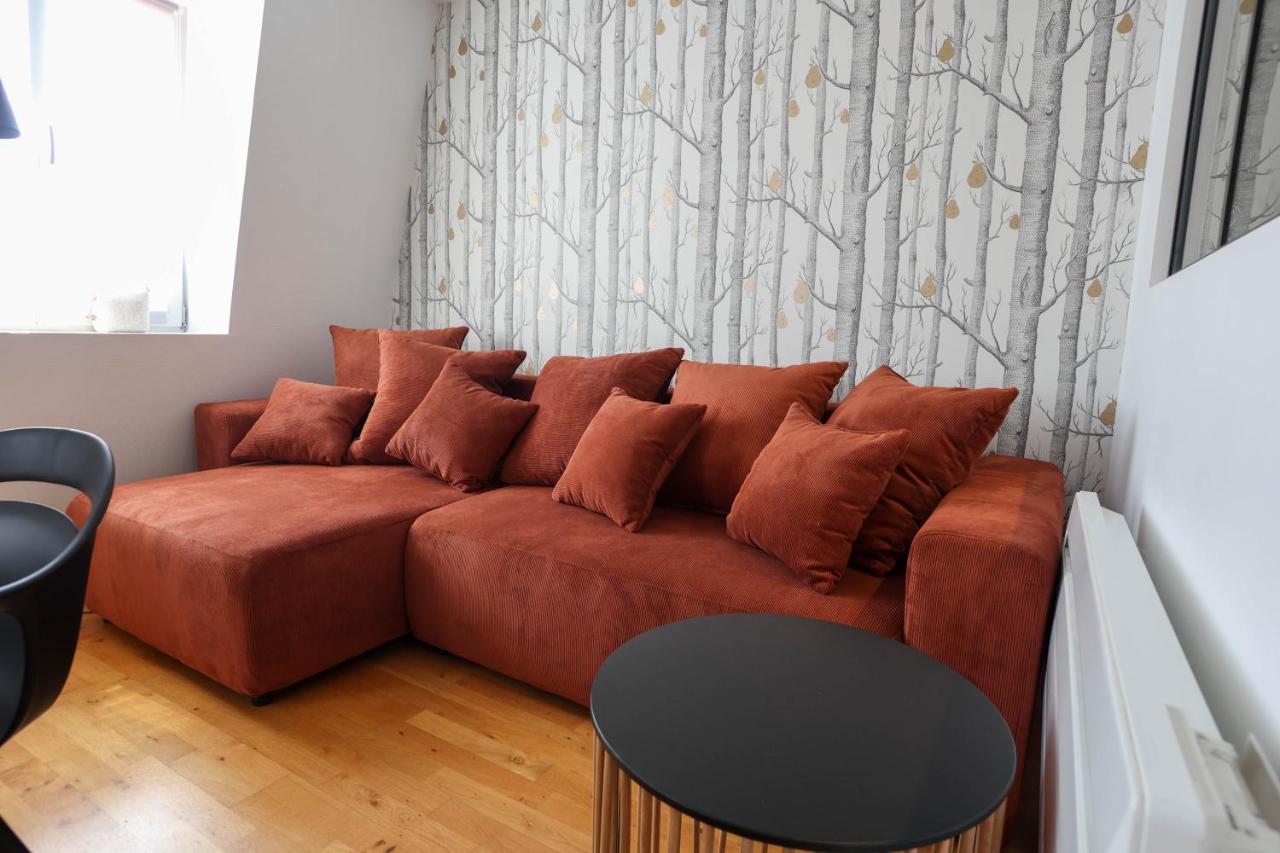 Appartement Le Verdoyant Hyper Centre Avec Sauna Et Parking Κολμάρ Εξωτερικό φωτογραφία