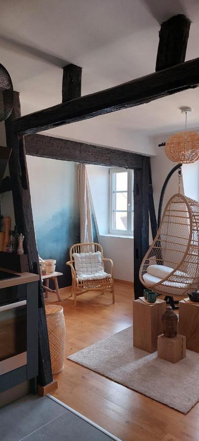 Appartement Le Verdoyant Hyper Centre Avec Sauna Et Parking Κολμάρ Εξωτερικό φωτογραφία